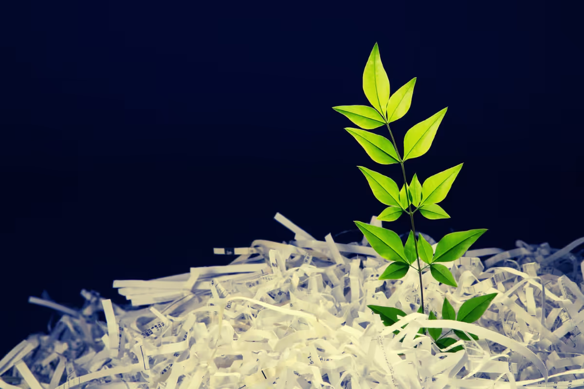 A photo a green plant shoot emerging from a pile of shreadded paper to signify a new start in complaint management. 
